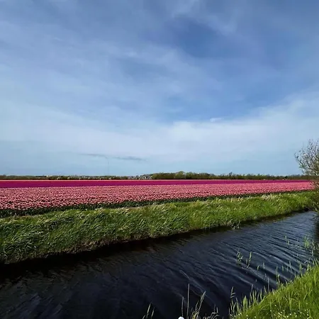 Feriehus Ruhiges Uneinsehbarer Grosser Garten, Komplett Eingezaeunt 160 M Hoch