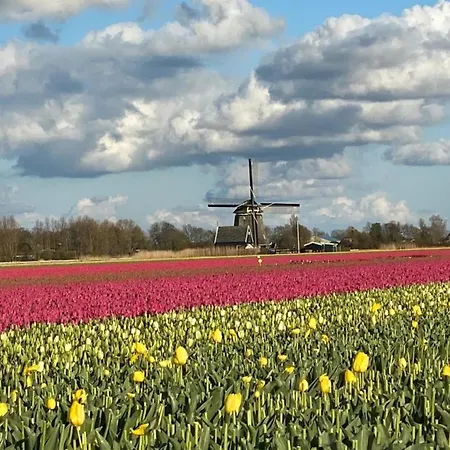 Ruhiges Uneinsehbarer Grosser Garten, Komplett Eingezaeunt 160 M Hoch Sint Maartensvlotbrug